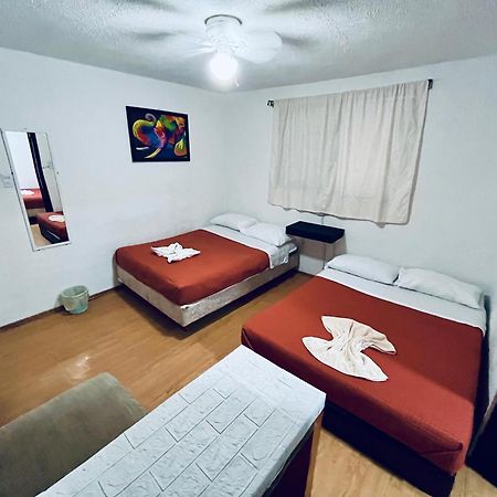 멕시코 시 Casita Del Arbol 아파트 외부 사진