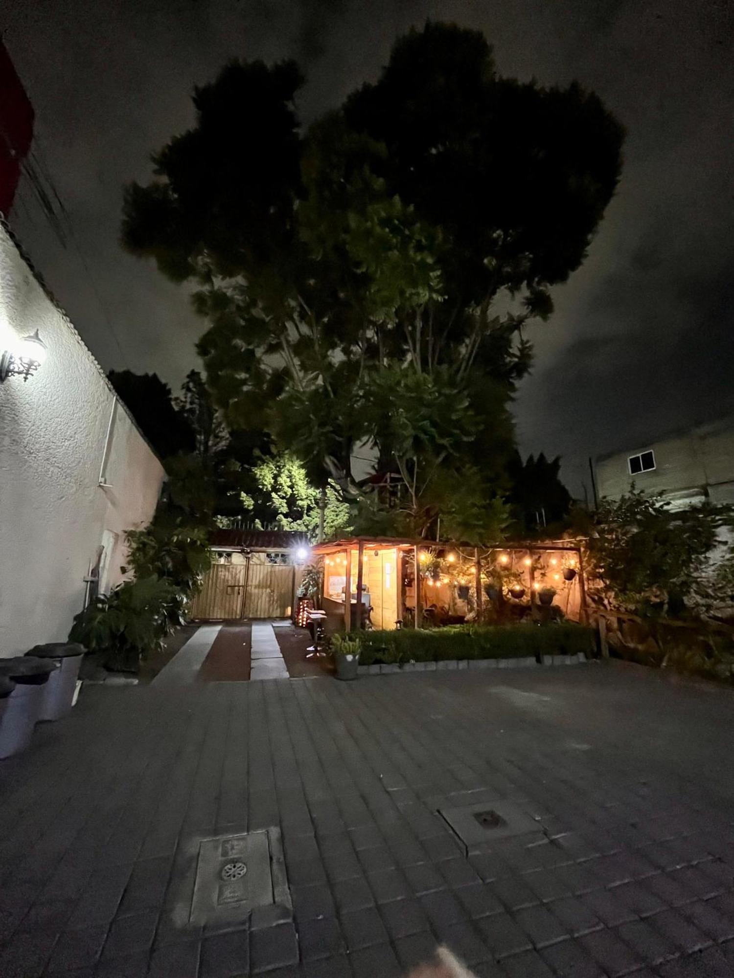 멕시코 시 Casita Del Arbol 아파트 외부 사진