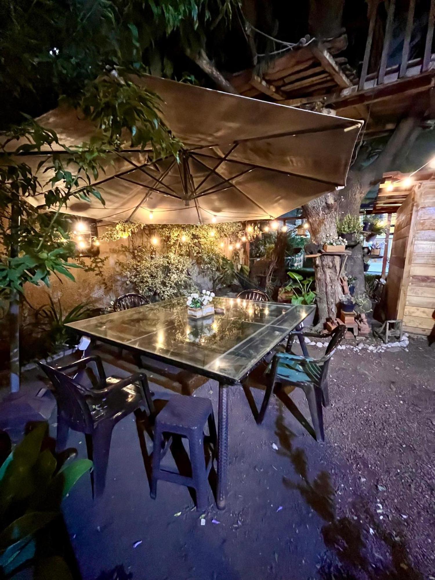 멕시코 시 Casita Del Arbol 아파트 외부 사진