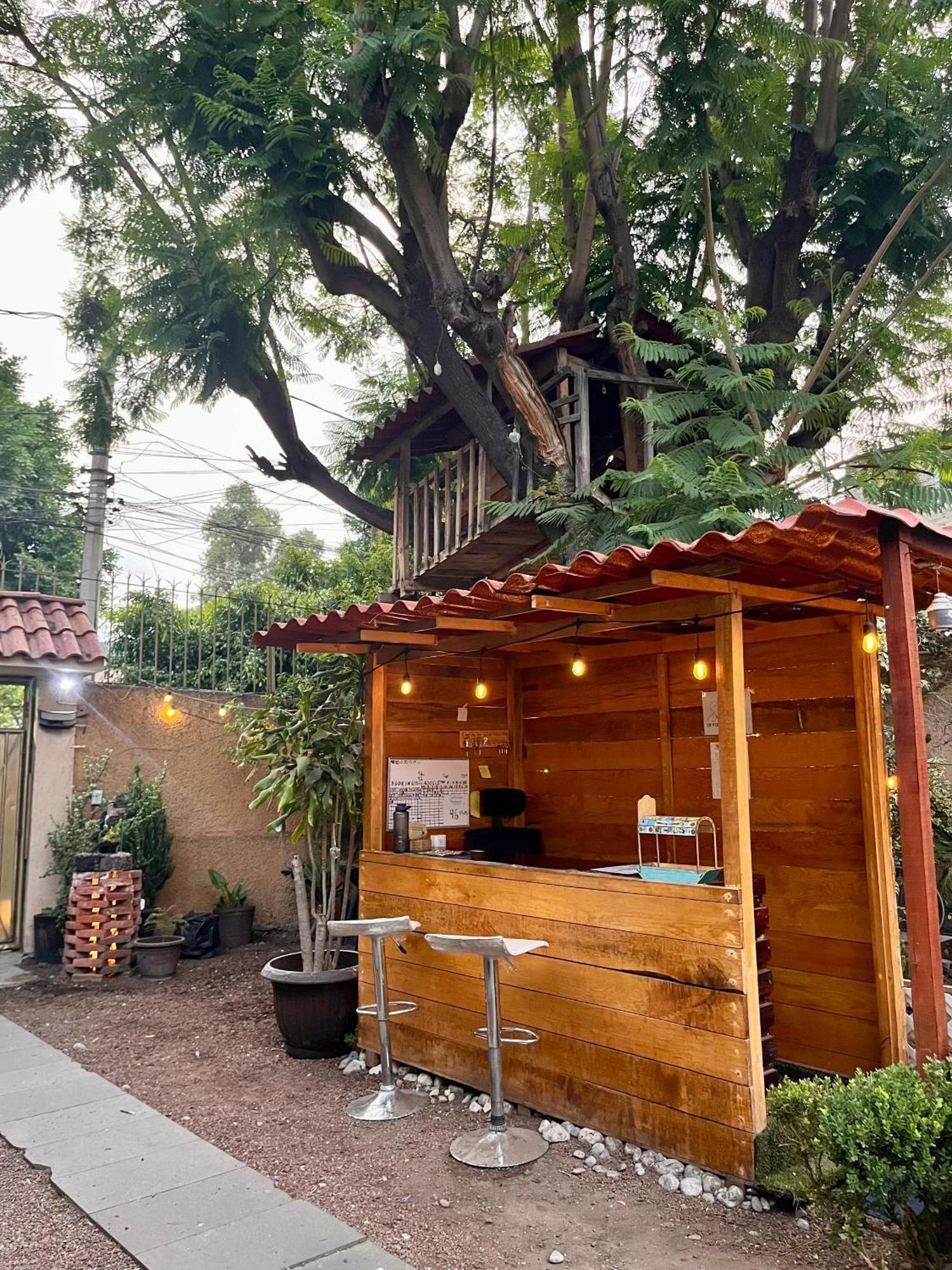 멕시코 시 Casita Del Arbol 아파트 외부 사진